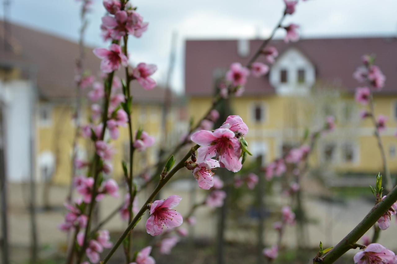 Statek Luníkov Vila Zizice Exterior foto
